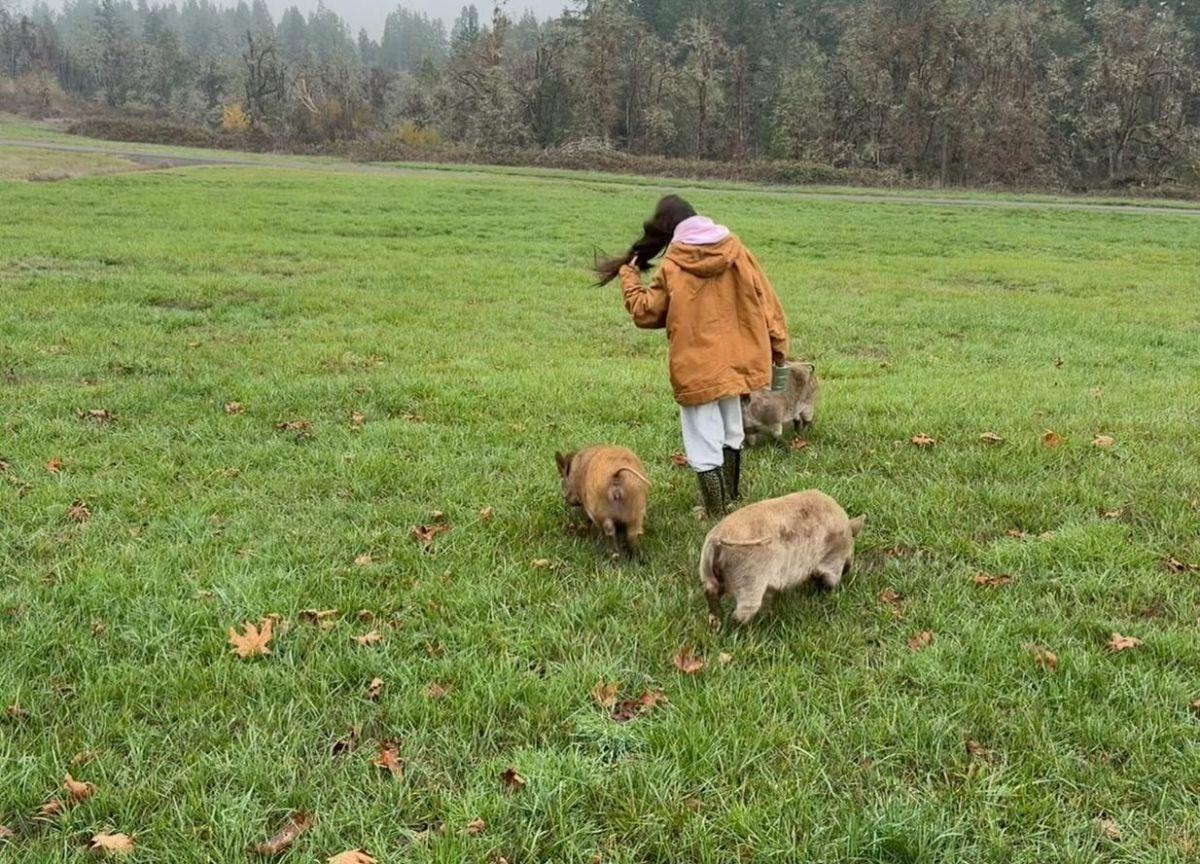 Madison Beer Shares Latest Instagram Photos, December 2025 2