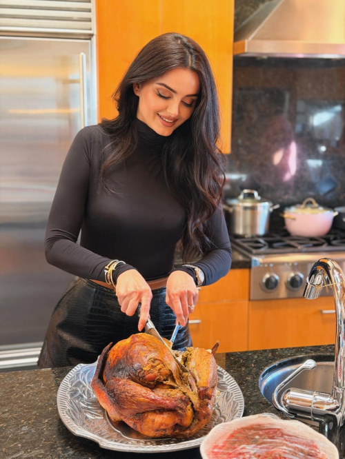 Mahlagha Jaberi Latest Instagram Photos, December 2025 12