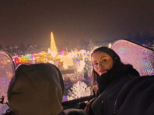 Selena Gomez Shares Holiday Instagram Pictures, December 2025 5