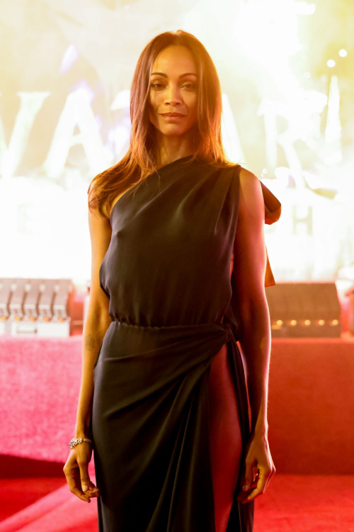 Zoe Saldana at Avatar Fire and Ash World Premiere Hollywood, December 2025 5