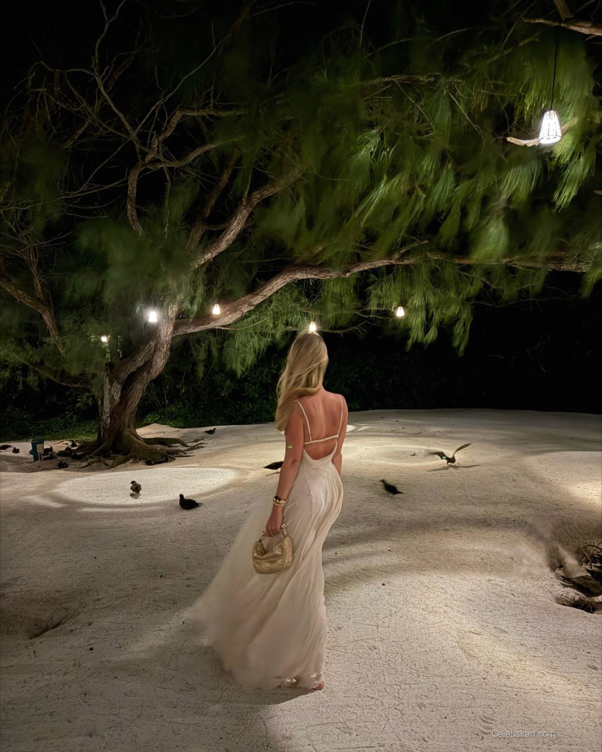 Ilona Arsentieva Instagram Photos, January 2026 5