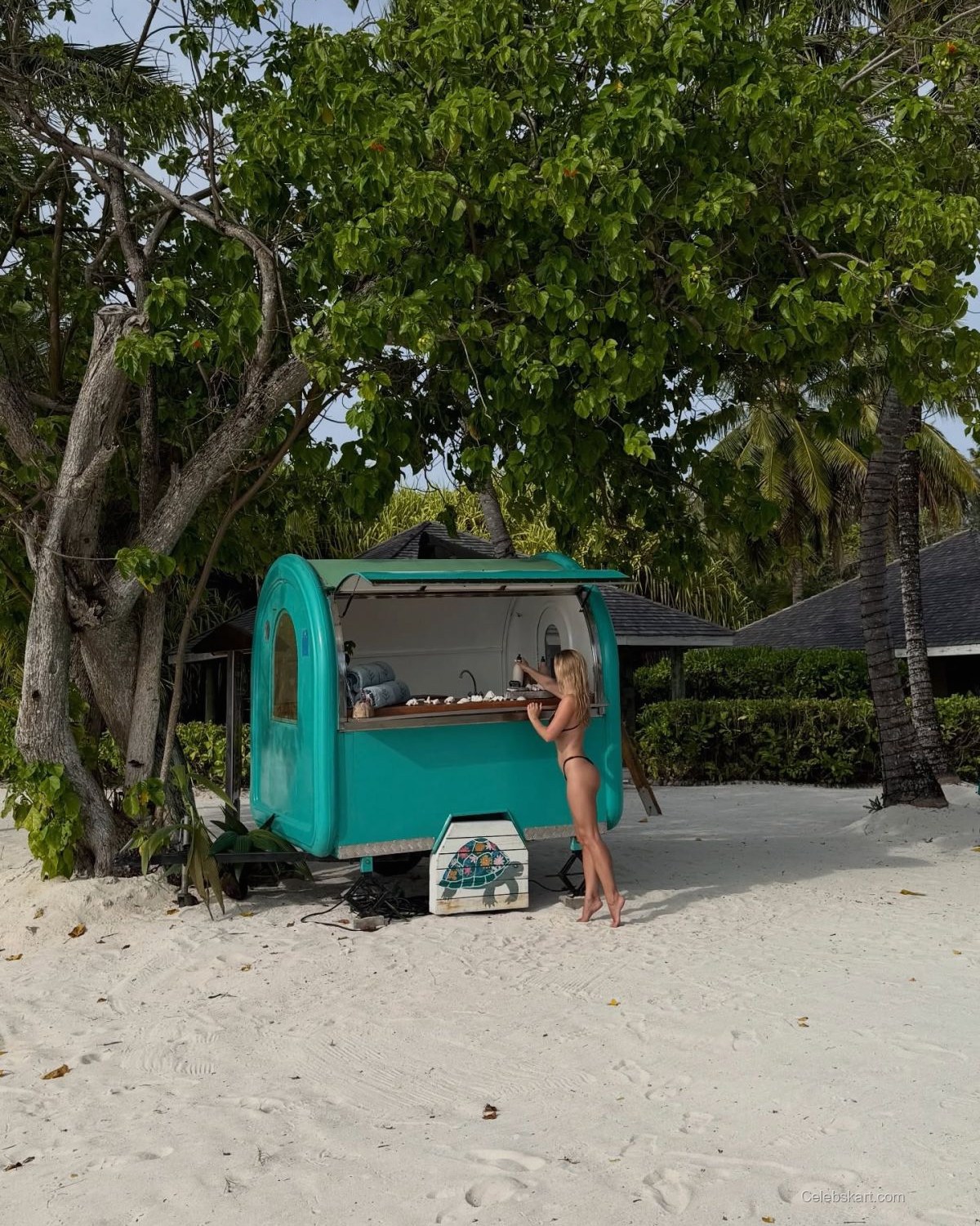 Ilona Arsentieva Instagram Photos, January 2026 5