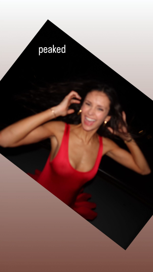 Nina Dobrev Instagram Photos, January 2025 1