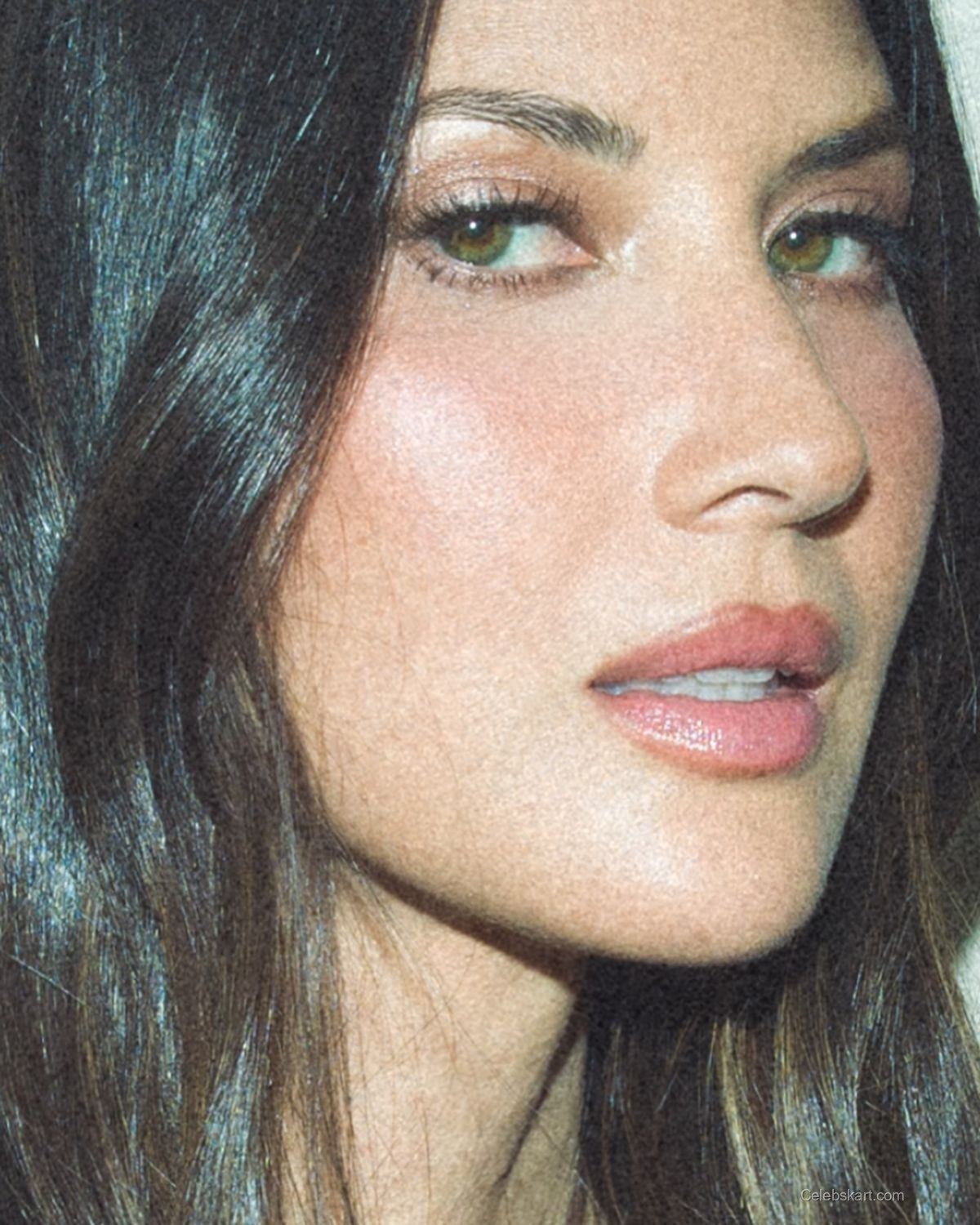 Olivia Munn Instagram Photos Gallery, January 2026 9