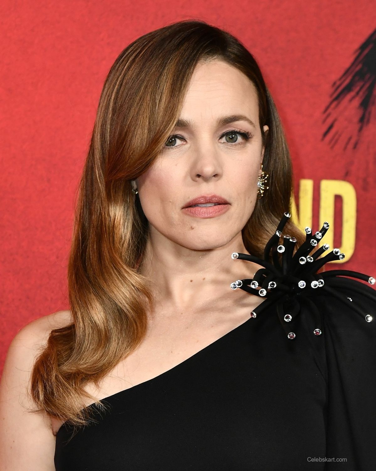 Rachel McAdams at Send Help World Premiere, January 2026 6