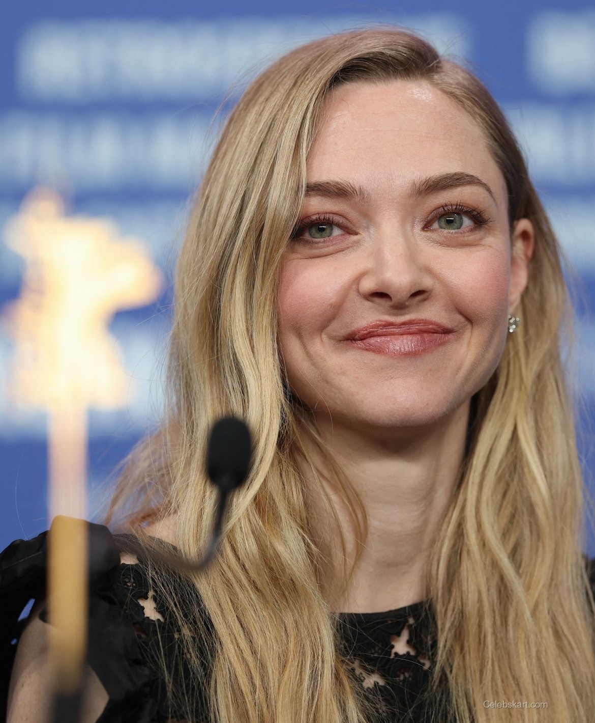 Amanda Seyfried at Ann Lee Berlinale Photocall, February 2026 6