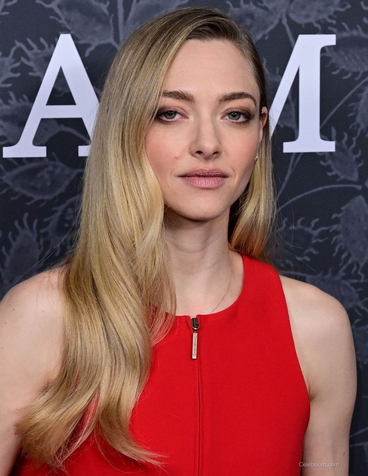 Amanda Seyfried at UK Gala Screening London, February 2026 2