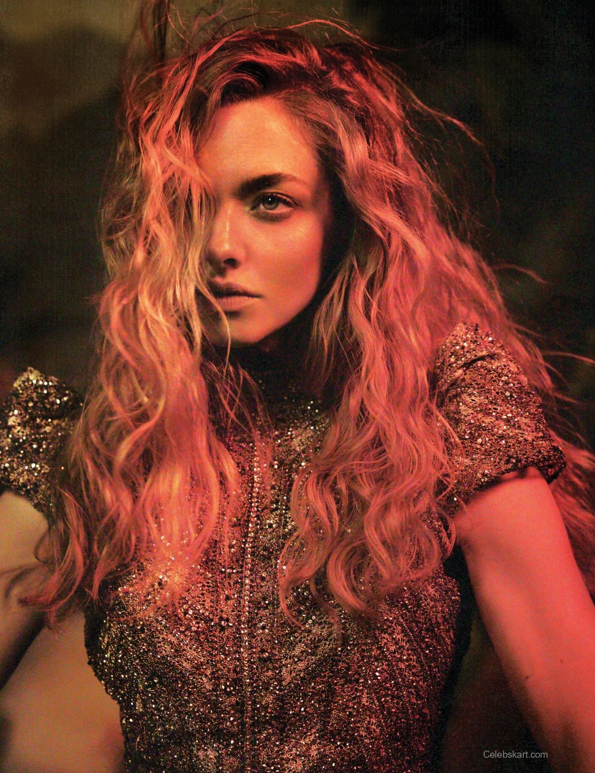 Amanda Seyfried Flaunt Issue 202 Photos February 2026 11