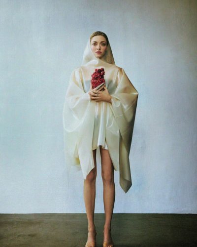 Amanda Seyfried wearing stylish look at appearance 2026