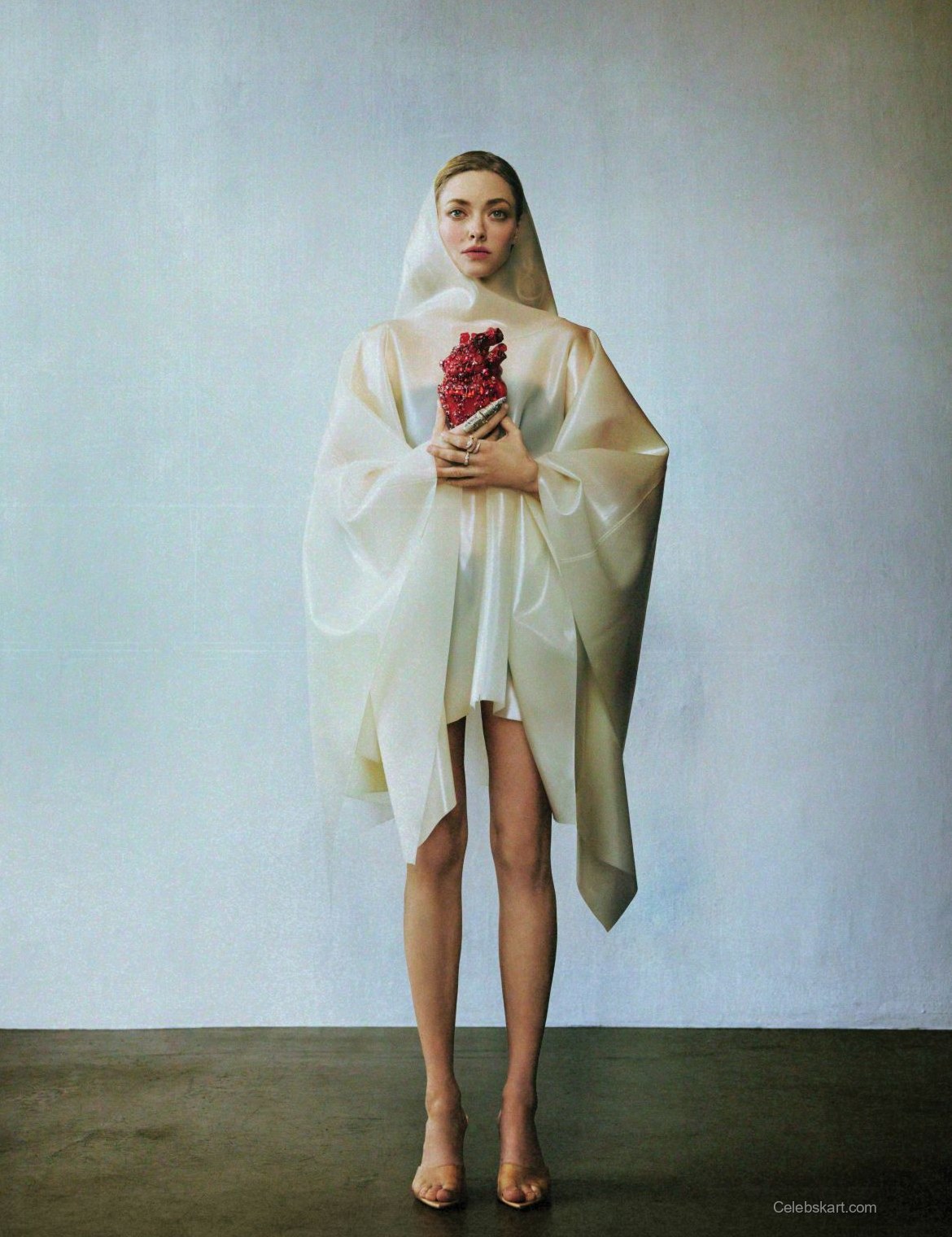 Amanda Seyfried Flaunt Issue 202 Photos February 2026 13