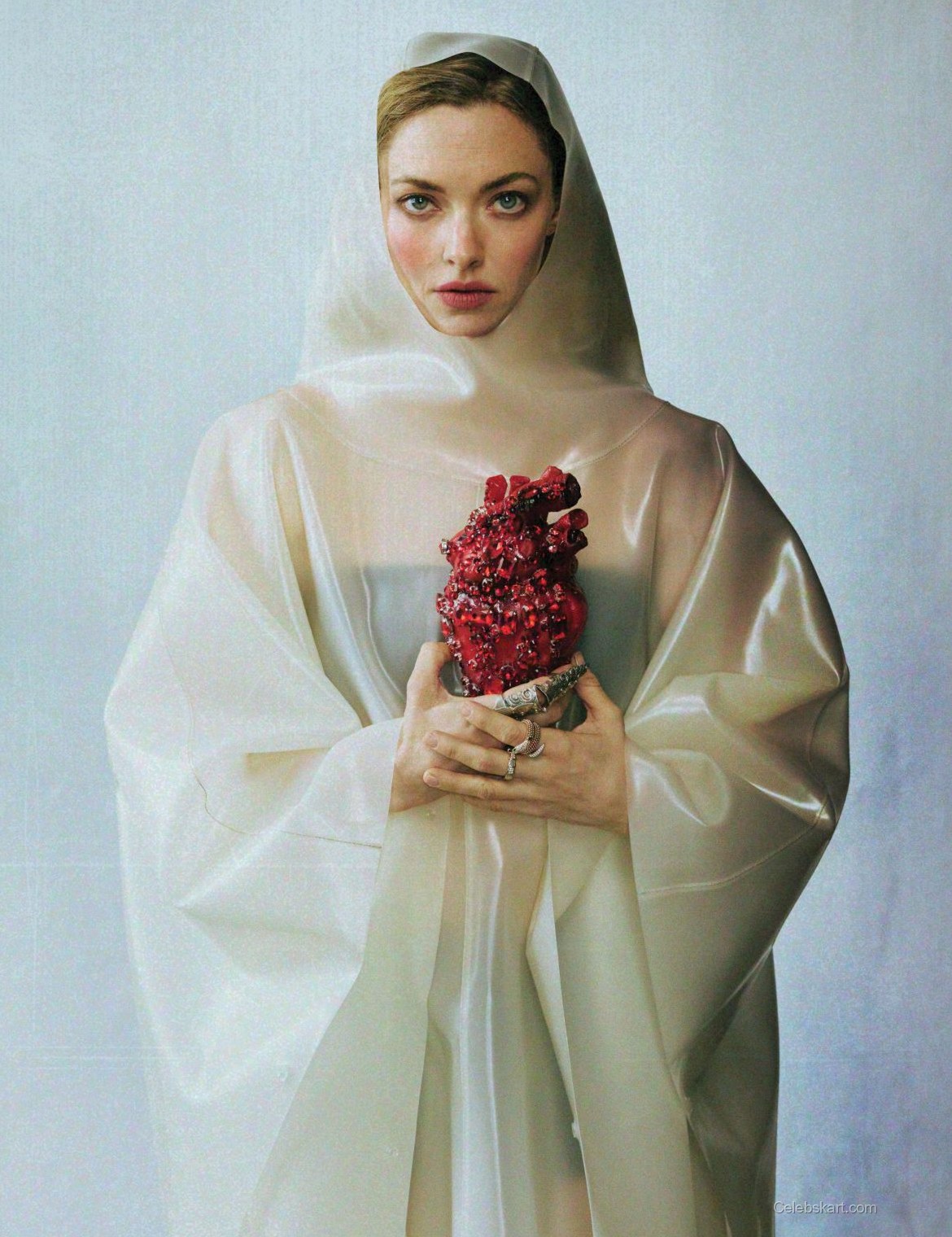 Amanda Seyfried Flaunt Issue 202 Photos February 2026 6