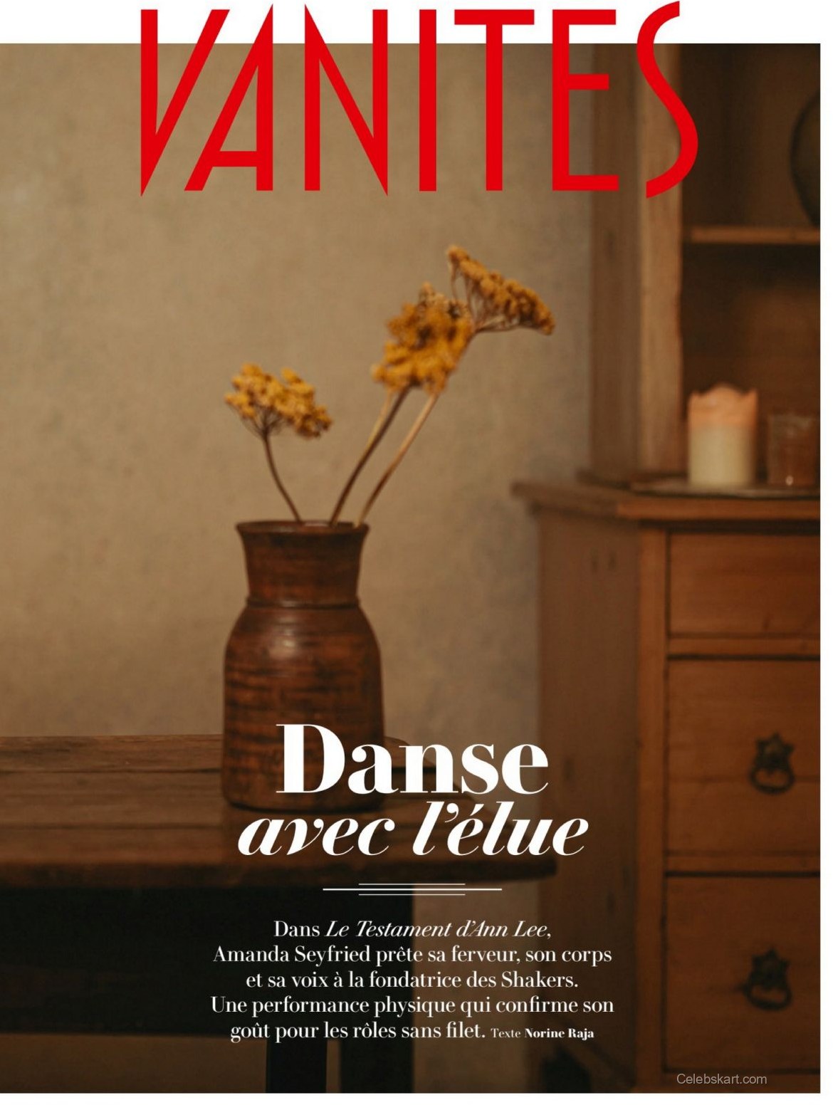 Amanda Seyfried in Vanity Fair France, March 2026 4