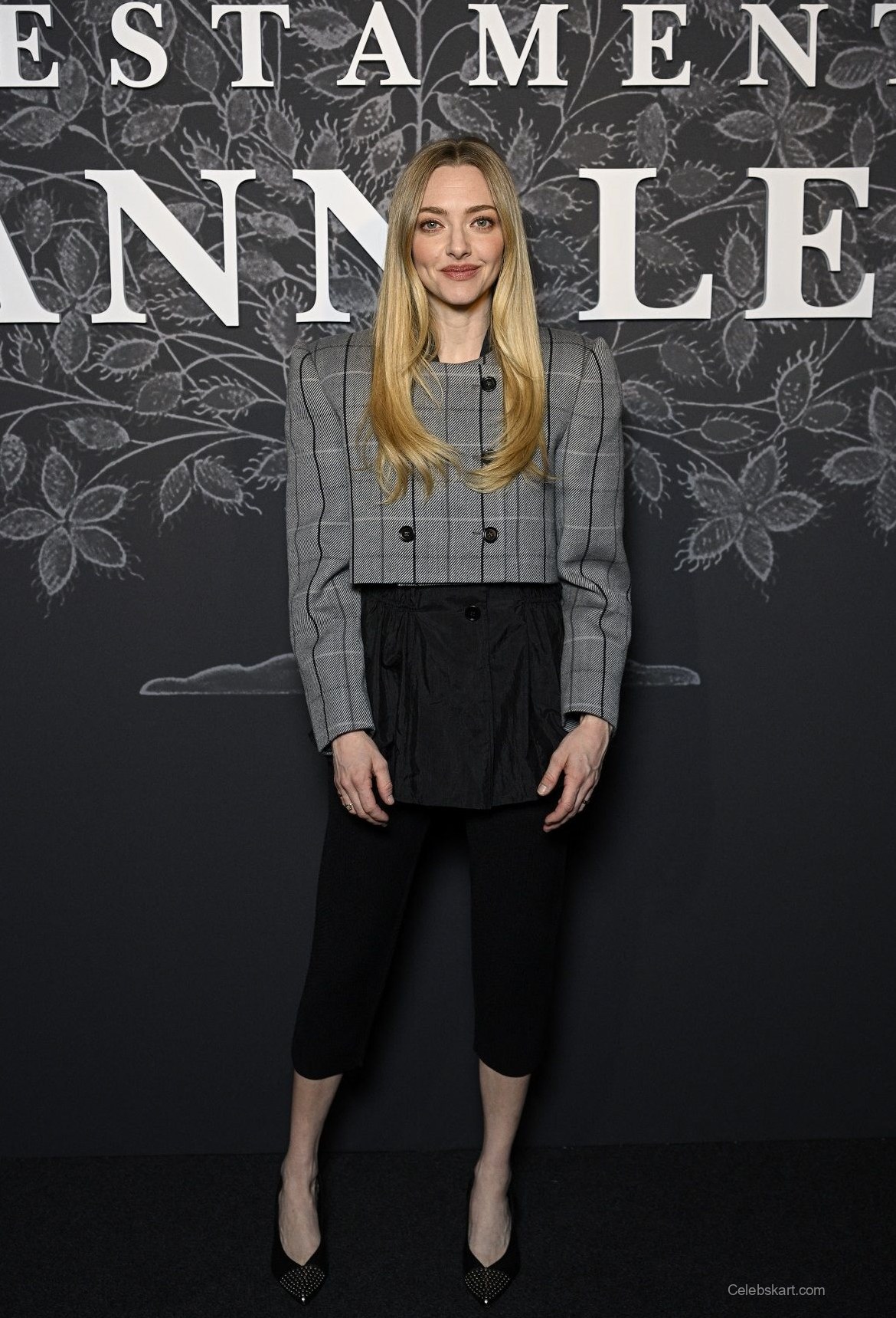 Amanda Seyfried The Testament of Ann Lee Premiere 2