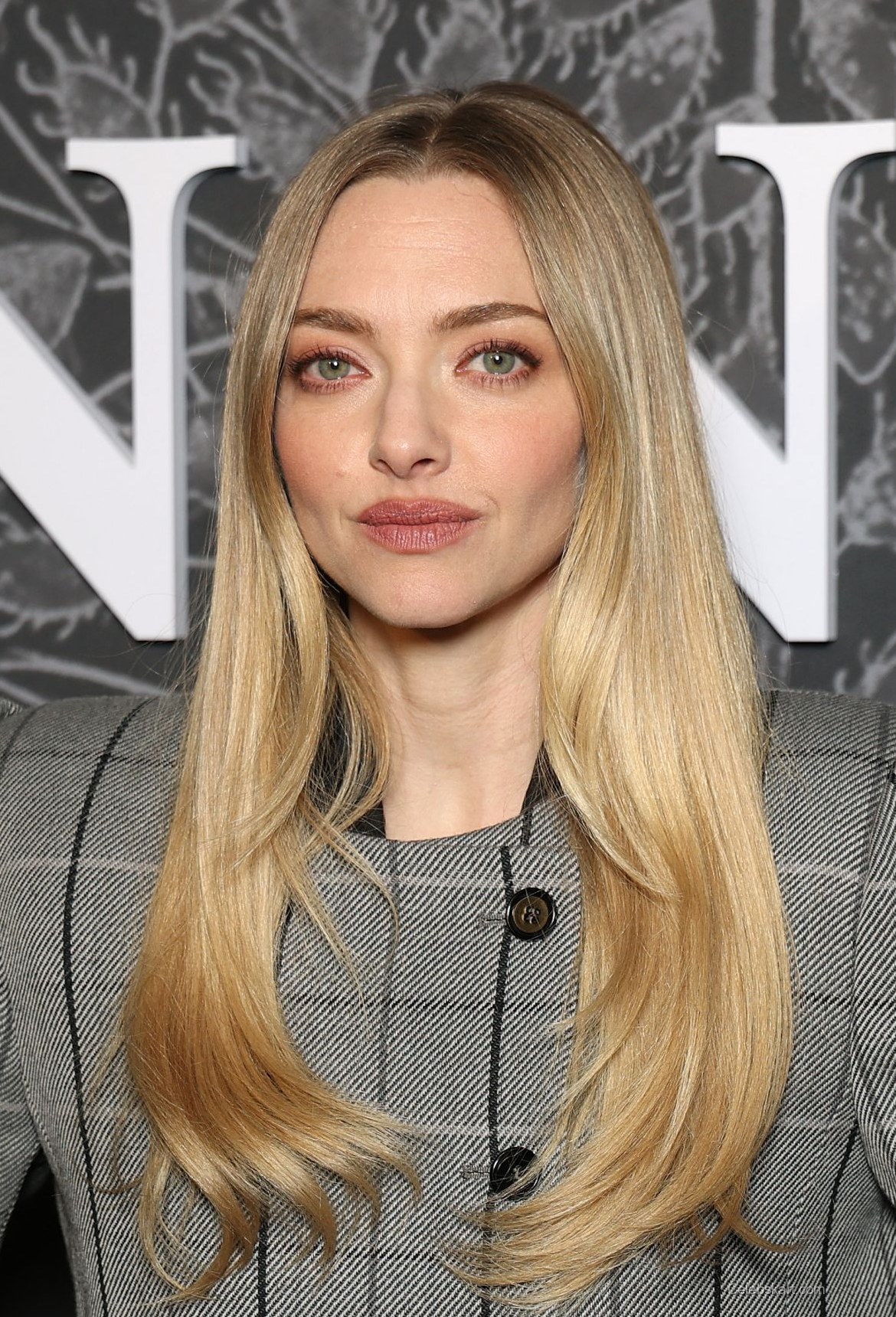 Amanda Seyfried The Testament of Ann Lee Premiere 3