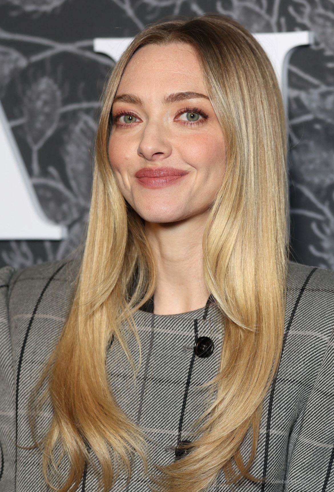 Amanda Seyfried The Testament of Ann Lee Premiere 4