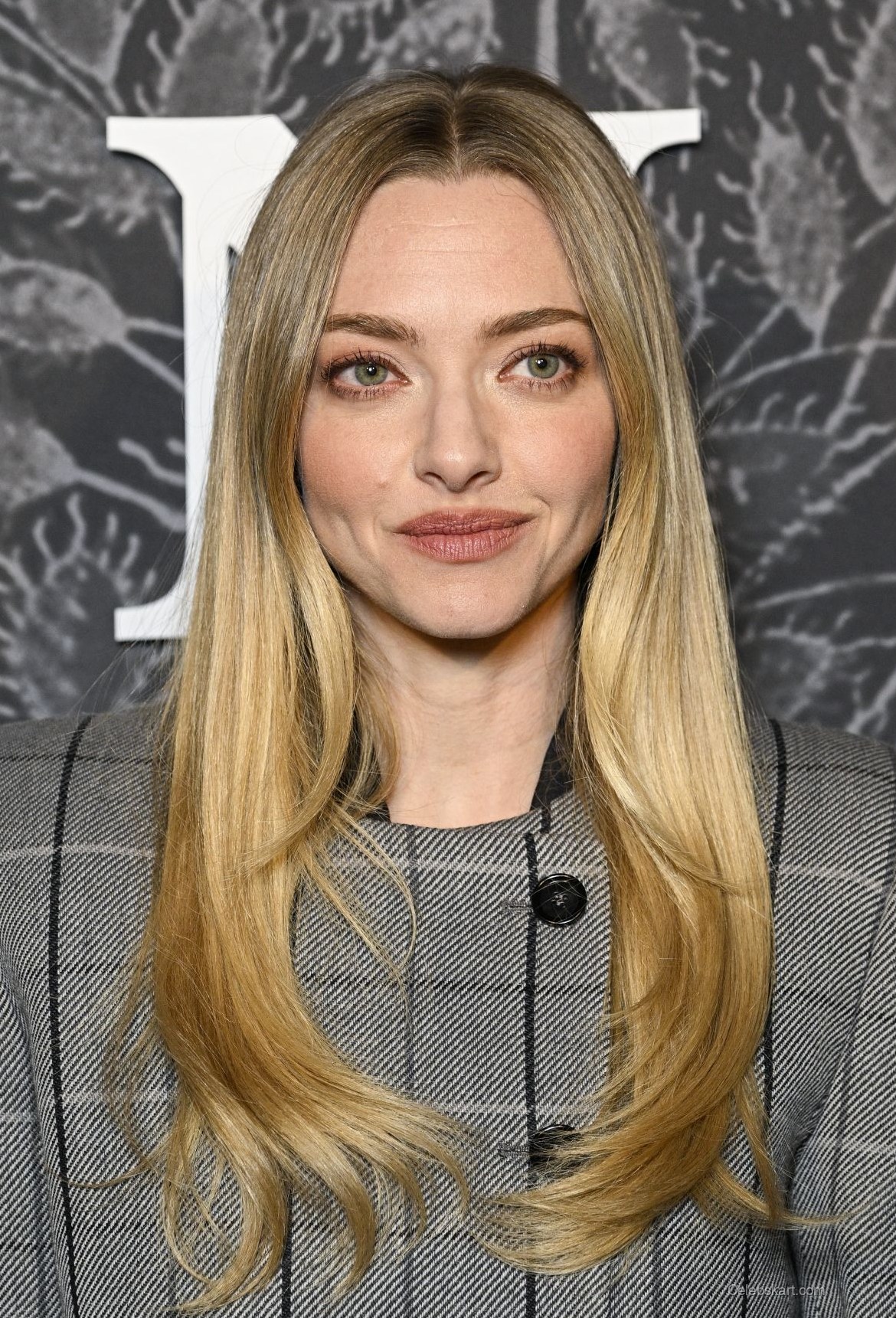 Amanda Seyfried The Testament of Ann Lee Premiere 6
