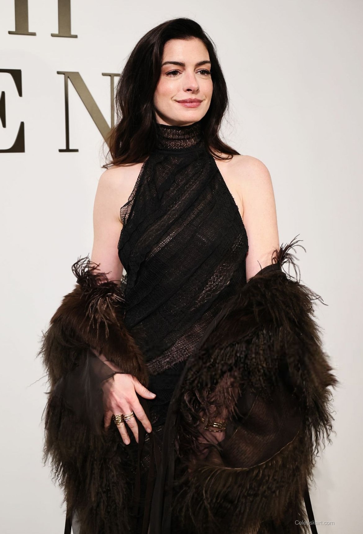 Anne Hathaway at Ralph Lauren NYFW Show, February 2026 1
