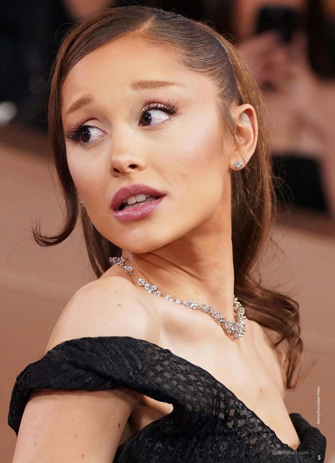 Ariana Grande The Story of Ariana Grande 1st Edition 2026 102