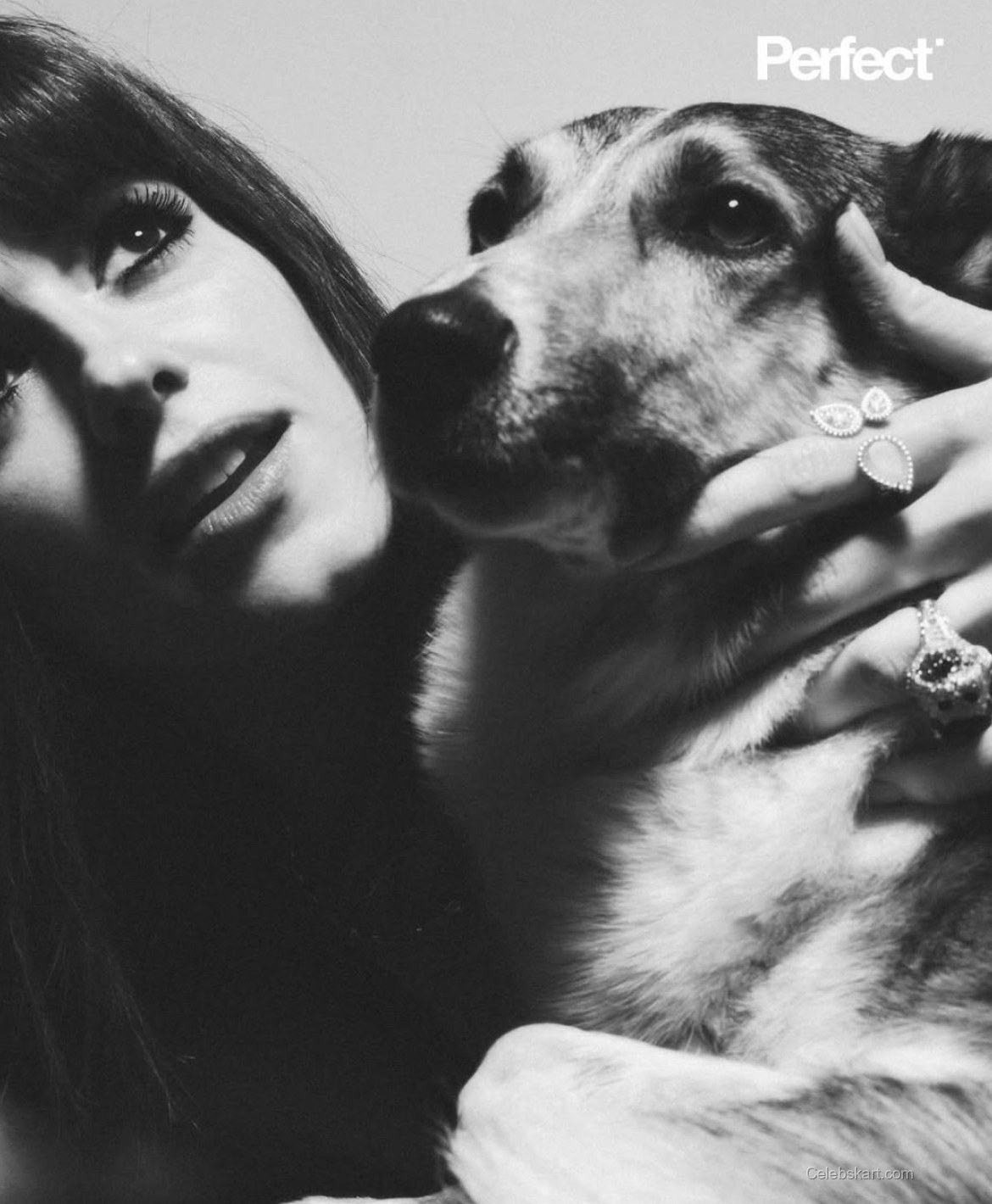 Daisy Edgar-Jones Perfect Magazine February 2026 9