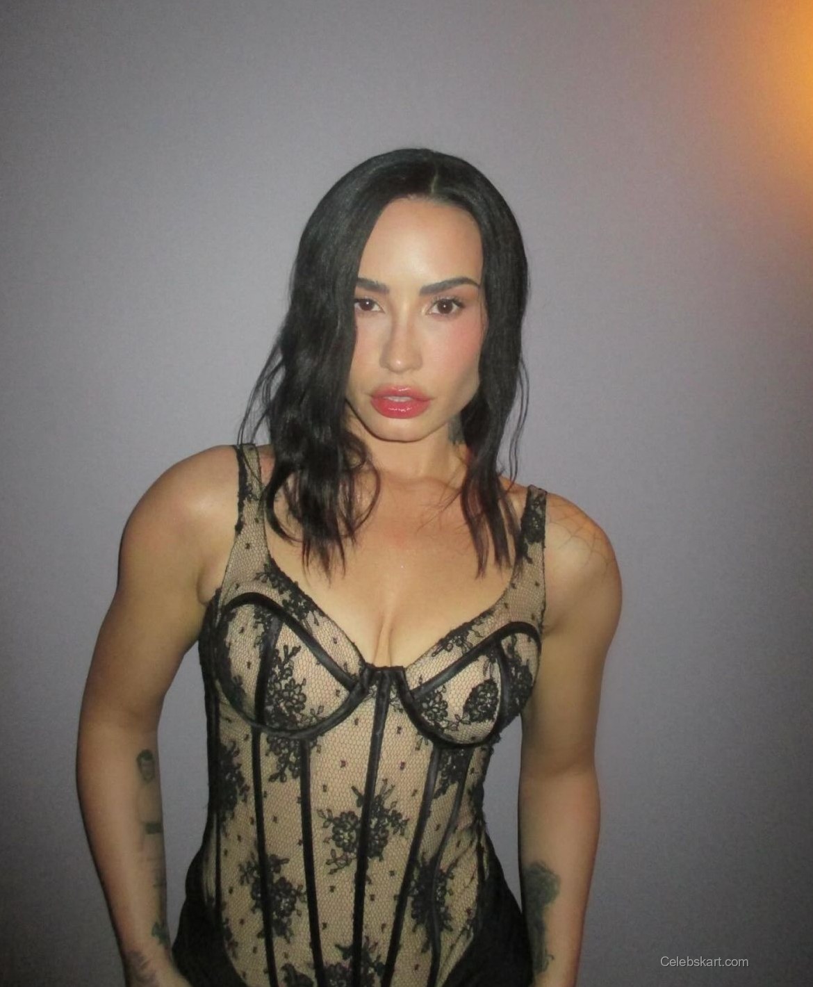 Demi Lovato Instagram Photos, February 2026 1