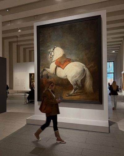 Ilona Arsentieva stuns in stylish look at Instagram post 2026