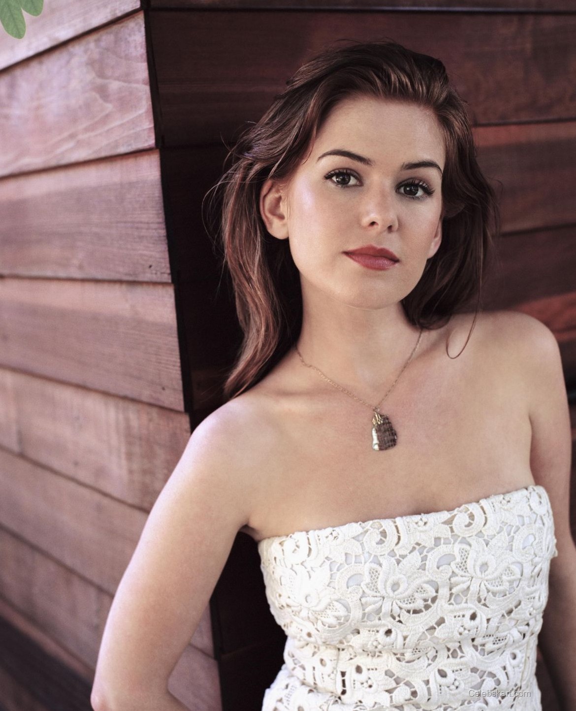 Isla Fisher Rare Photoshoot Moments 2005 2