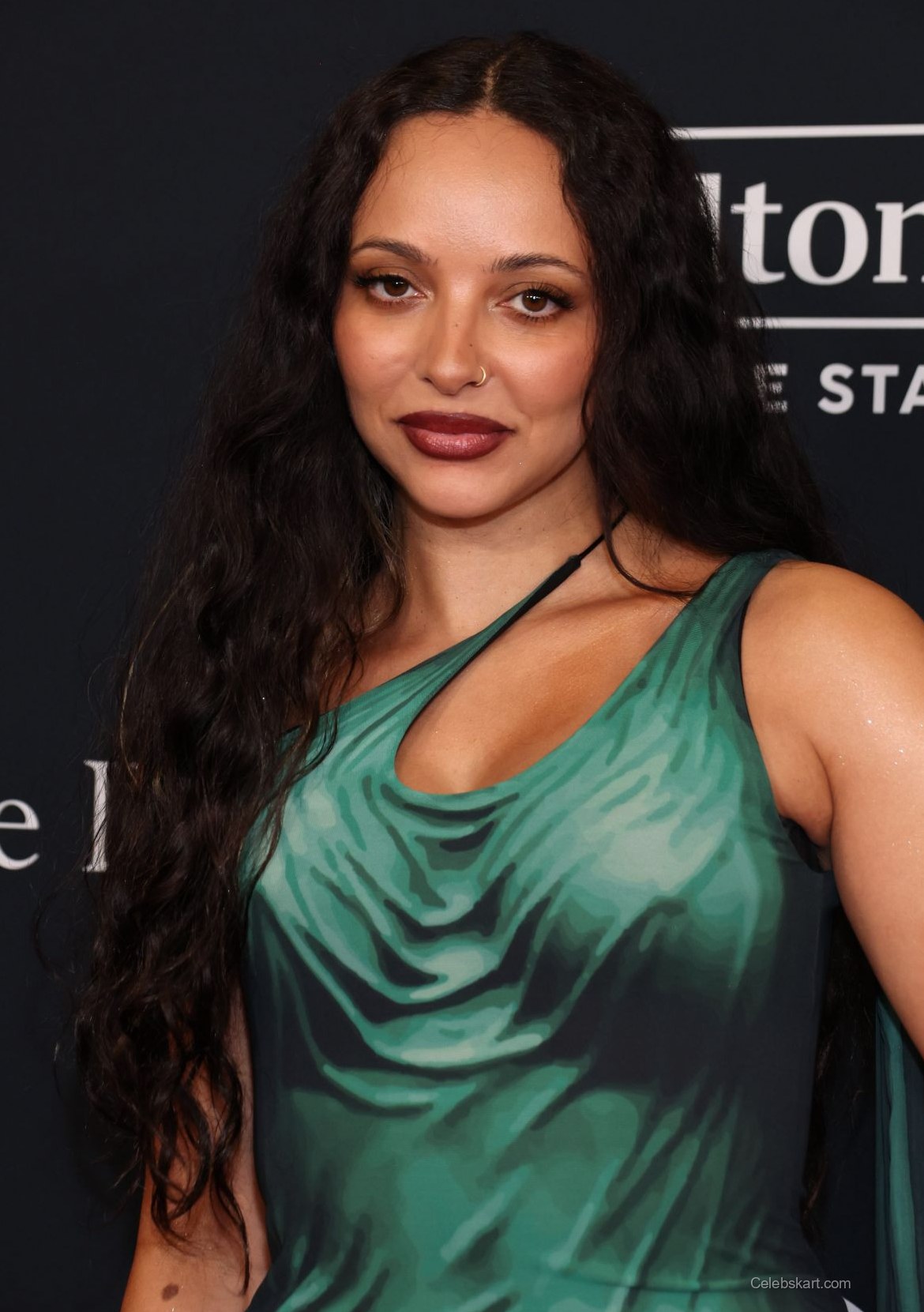 Jade Thirlwall at Pre Grammy Gala Beverly Hills, January 2026 5