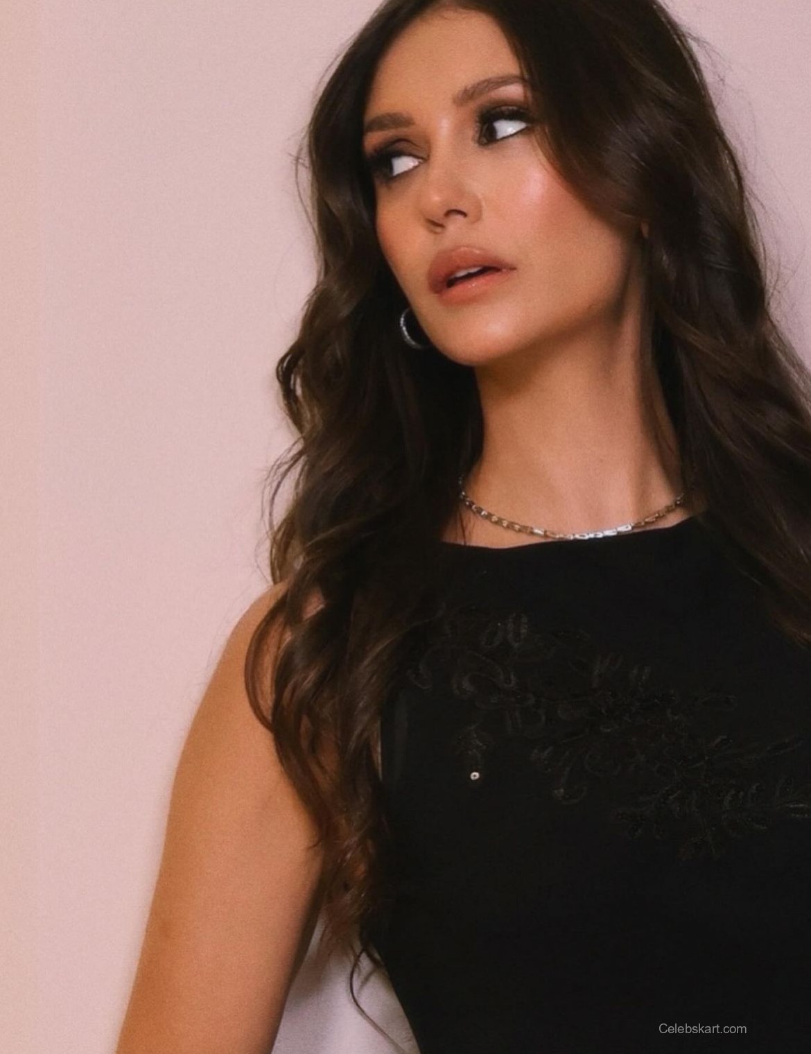 Nina Dobrev Instagram Photos, February 2026 2