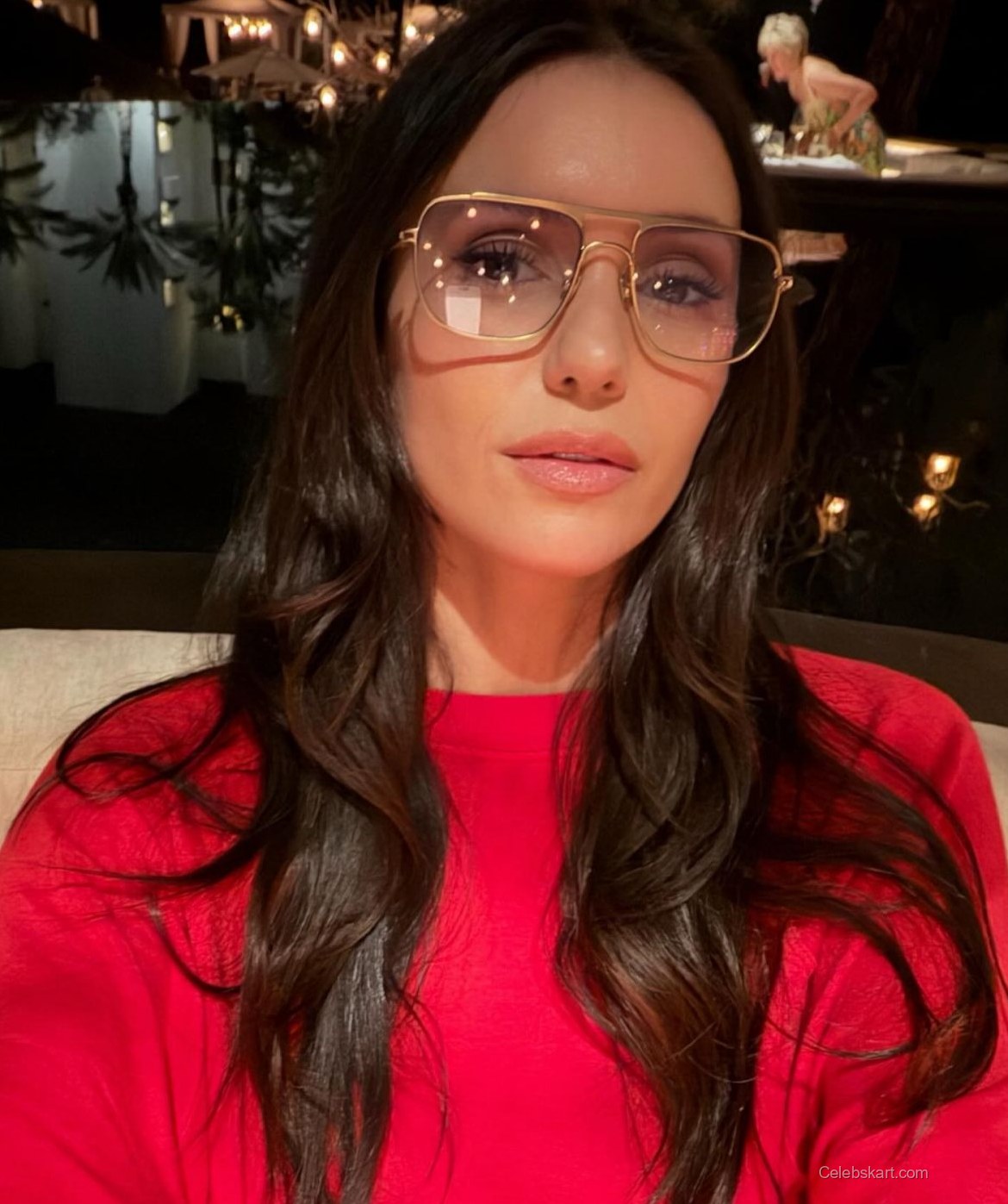 Nina Dobrev Instagram Photos February 2026 5