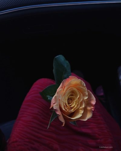 Presley Elise Instagram Photos February 2026 4