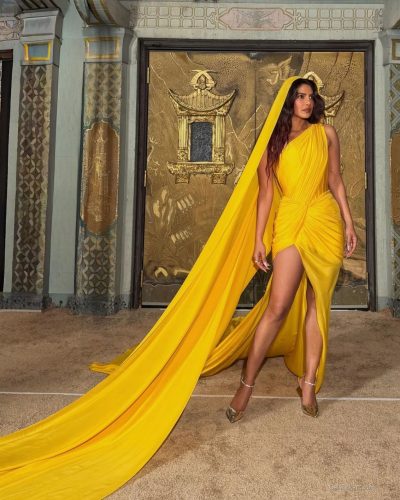 Priyanka Chopra wearing stylish look at appearance 2026