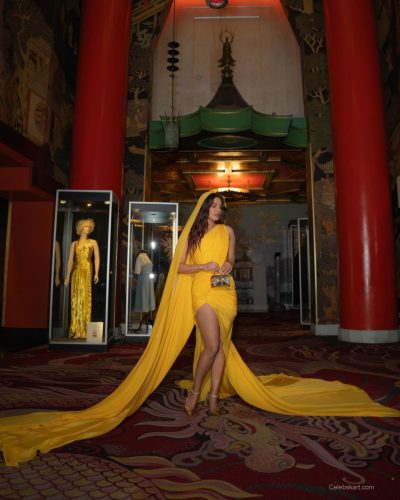 Priyanka Chopra stuns in stylish look at appearance 2026