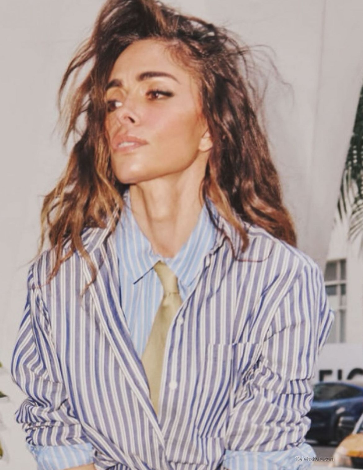 Sarah Shahi Instagram Photos, February 2026 4