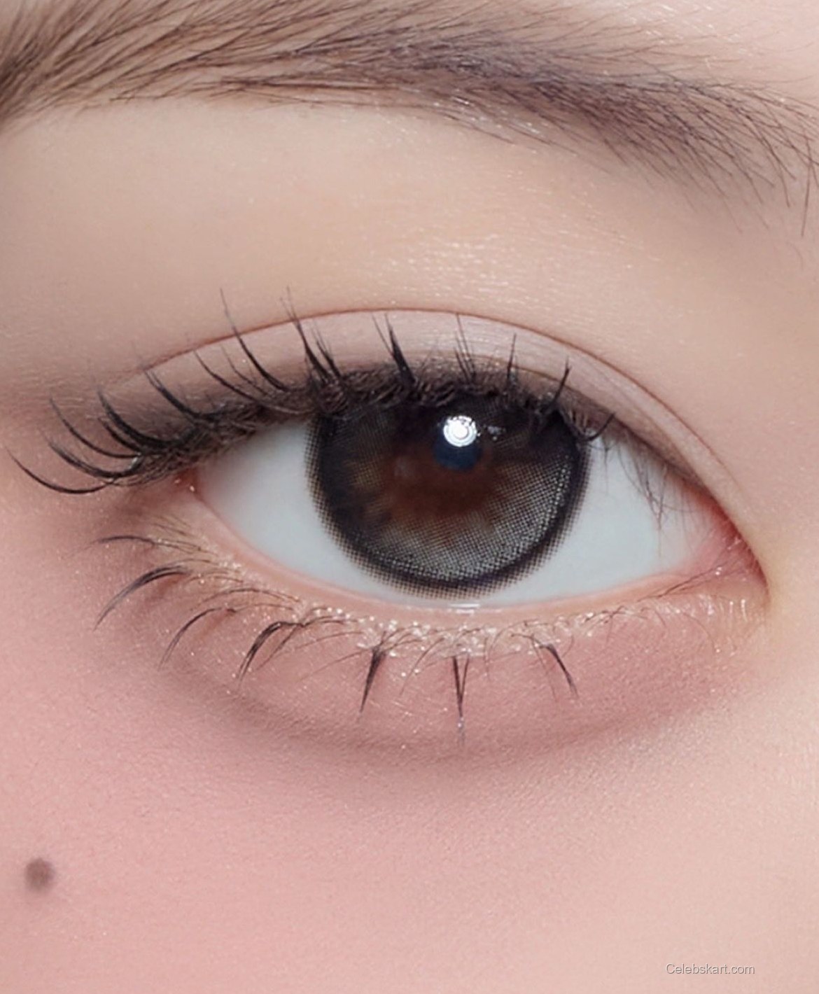 Wonyoung Hapa Kristin Campaign, February 2026 6