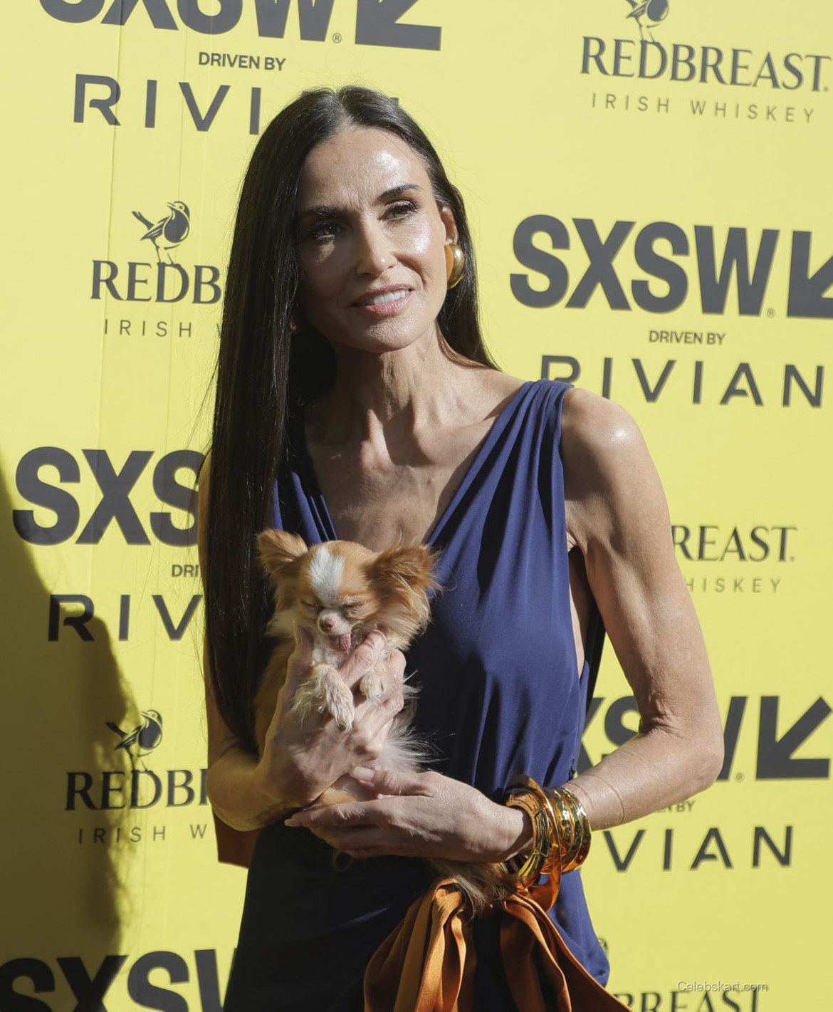 Demi Moore Debuts Bold Style At I Love Boosters Premiere, March 2026 3