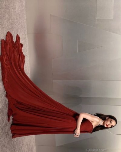 Dove Cameron spotted in stylish look during Instagram post