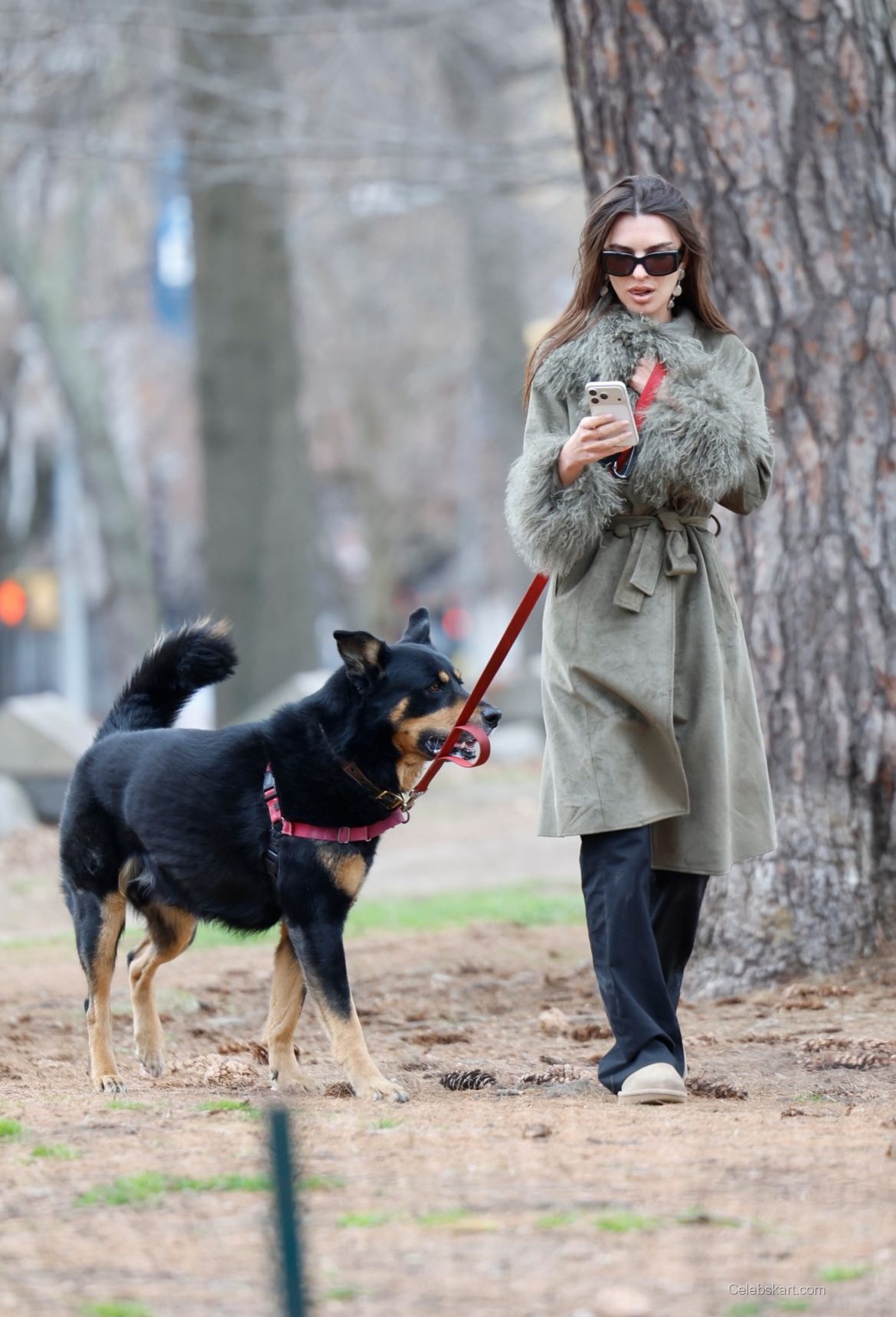 Emily Ratajkowski Dog Walk In Nyc – March 2023 3