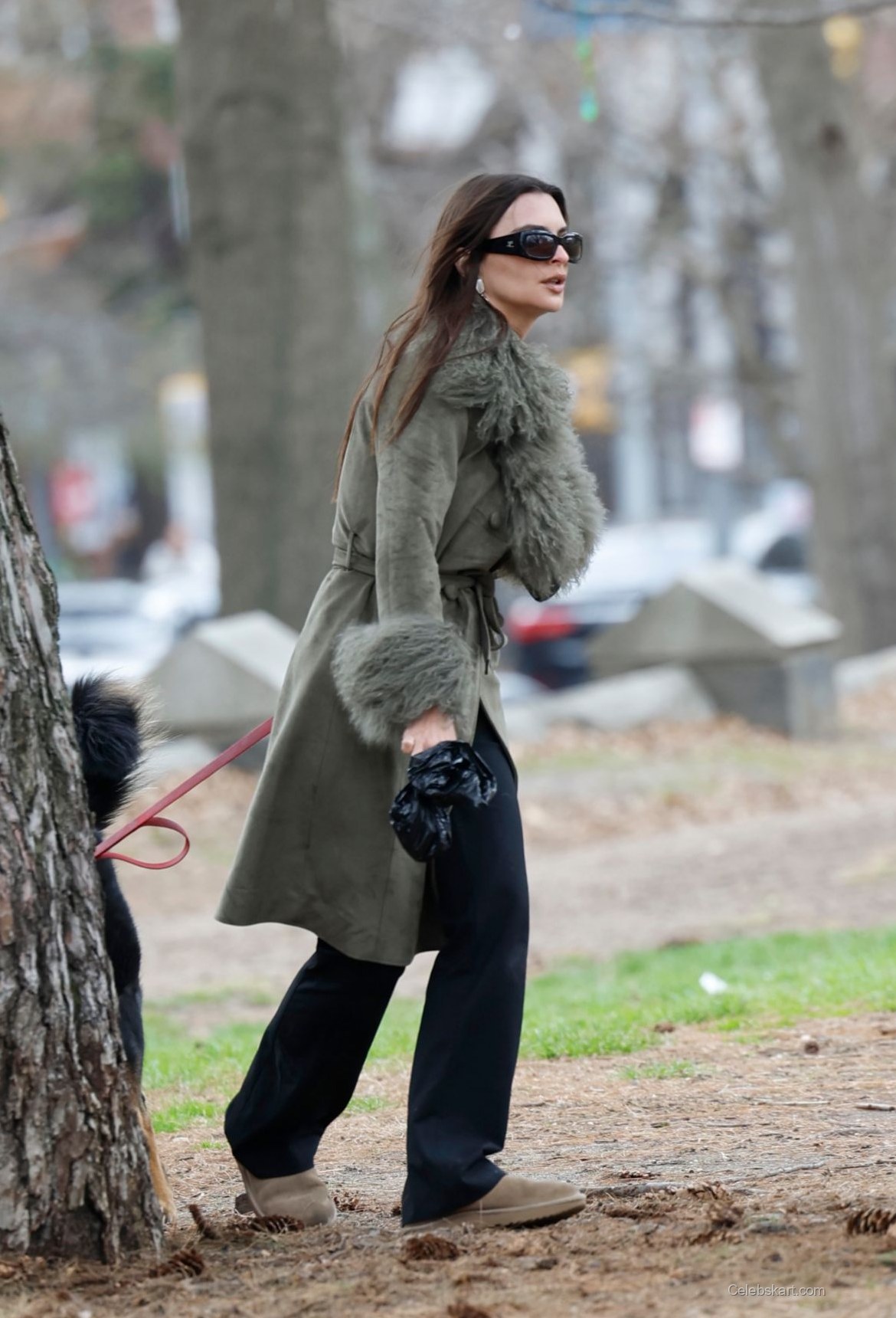 Emily Ratajkowski Dog Walk In Nyc – March 2023 4