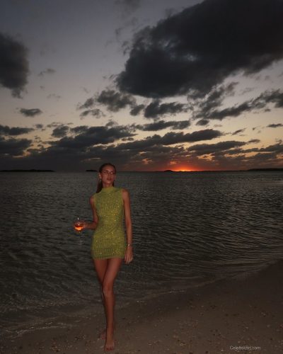 Kari Riley wearing a brown bikini with glossy finish.