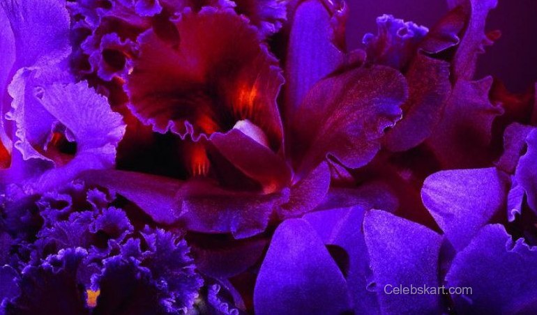 Monica Bellucci for Dior Hypnotic Poison, 2010 2