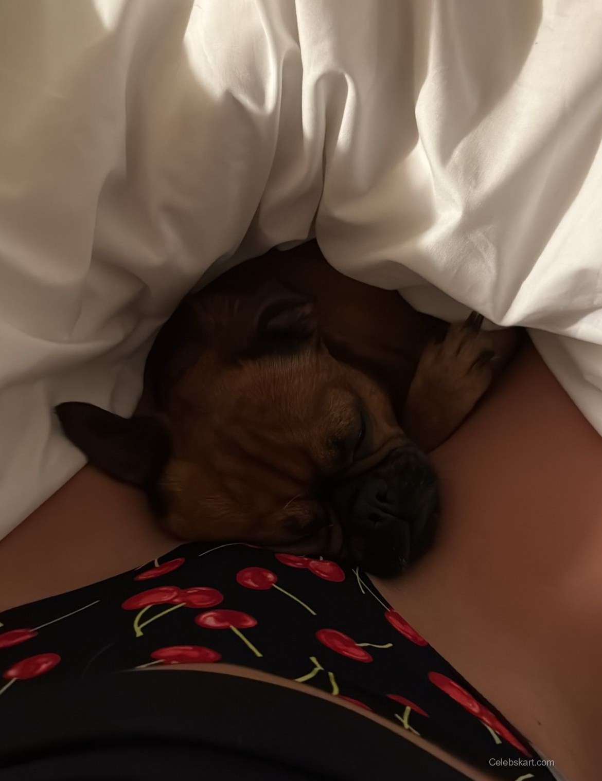 Nicky Gile – Red Carpet Looks At 2023 Film Festival 5