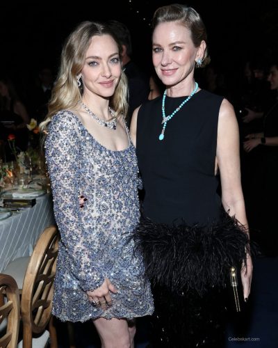 Amanda Seyfried photo