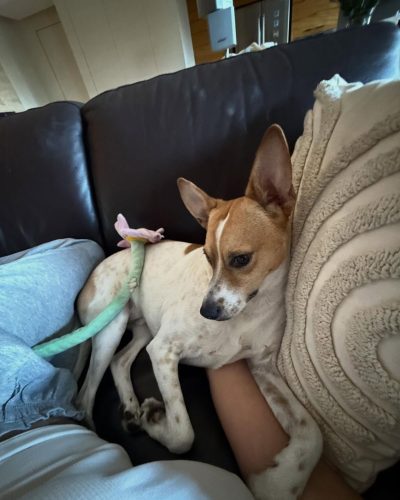 Anna Maria Olbrycht photo image 16