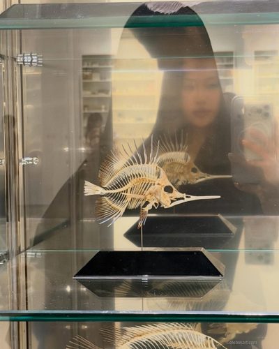 Cece Zhen Dazzles In Stylish Ensemble At 2023 Event 5