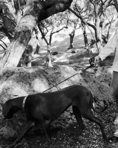 Charlize Theron wearing black leather jacket paired with white top.