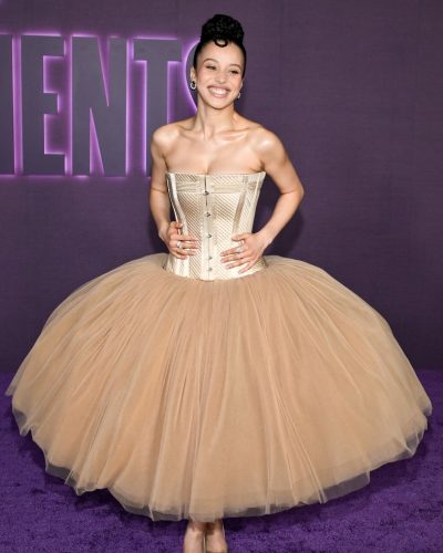 Chase Infiniti structured corset top of her gown.