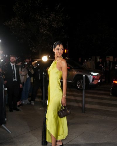 Diane Sodre in yellow gown at appearance 2026
