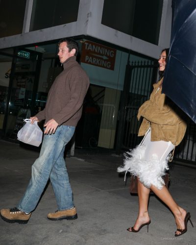 Dua Lipa sporting brown stilettos with her stylish ensemble.