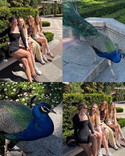 Ilona Arsentieva photo image 5