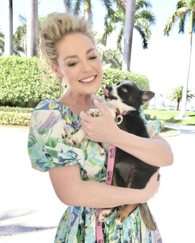 Katherine Heigl floral dress in vibrant green and blue.